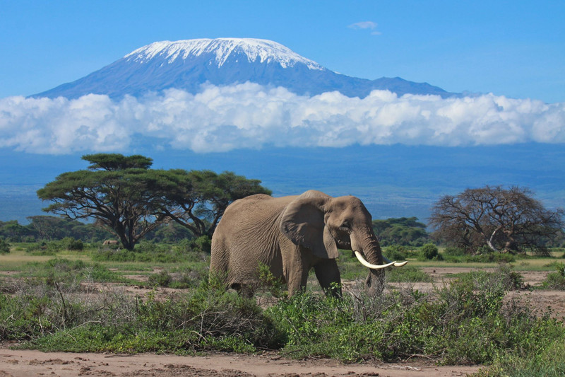 Nairobi - Amboseli