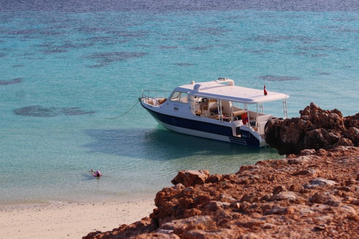 Excursion de plongée avec tuba à l'île Dimaniyat - 6 heures