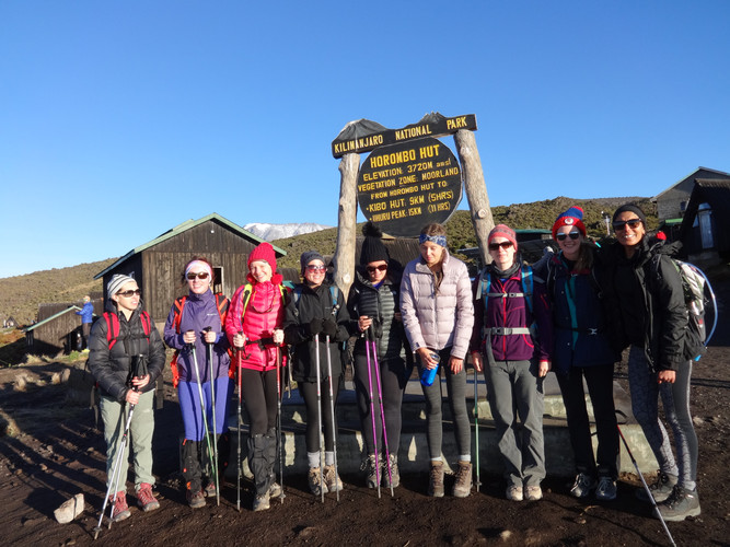 Horombo Hut (3,700 m) – Zebra Rocks (3,980 m) – Horombo Hut (3,700 m)