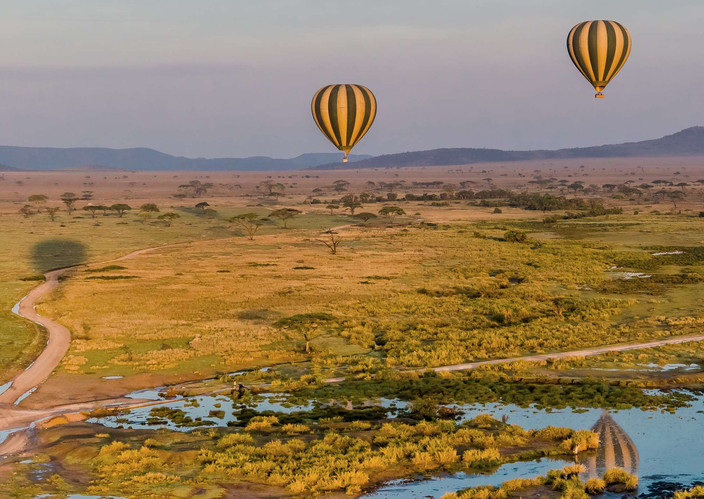Journée complète dans le parc national du Serengeti