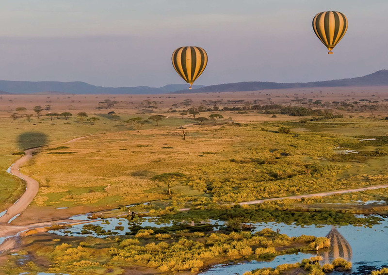 Journée complète dans le parc national du Serengeti