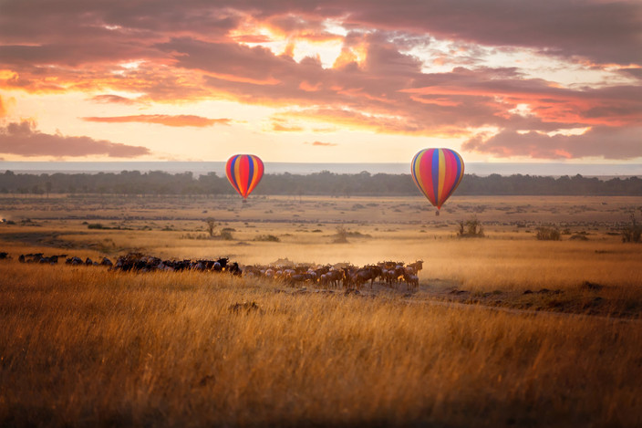 Journée complète à la découverte de la réserve nationale du Masai Mara