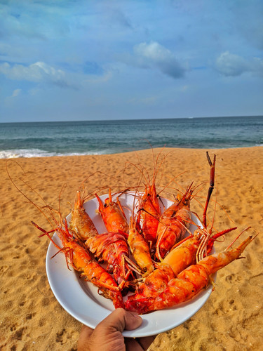 Galle - Colombo