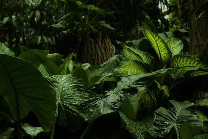Randonnée dans le Parc National de l Isalo