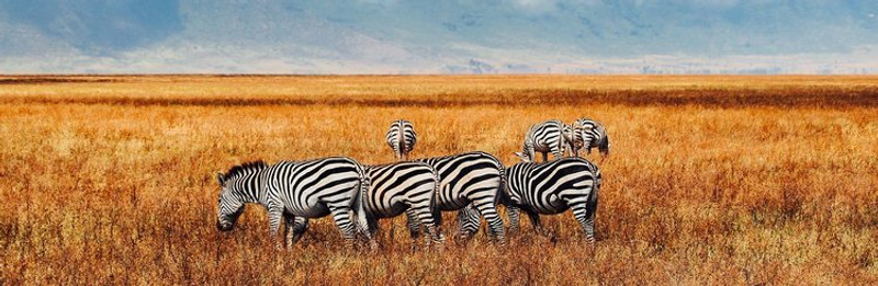 CRATÈRE DU NGORONGORO