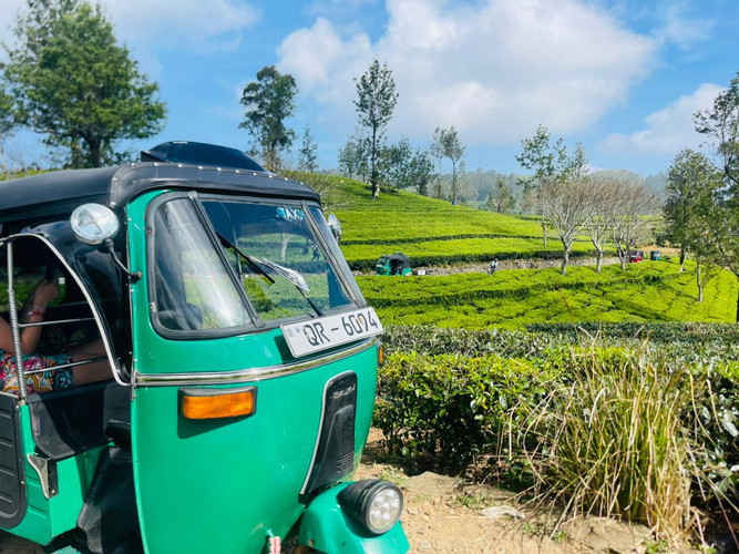 Les plantations de thé de Lipton Seat en tuk-tuk