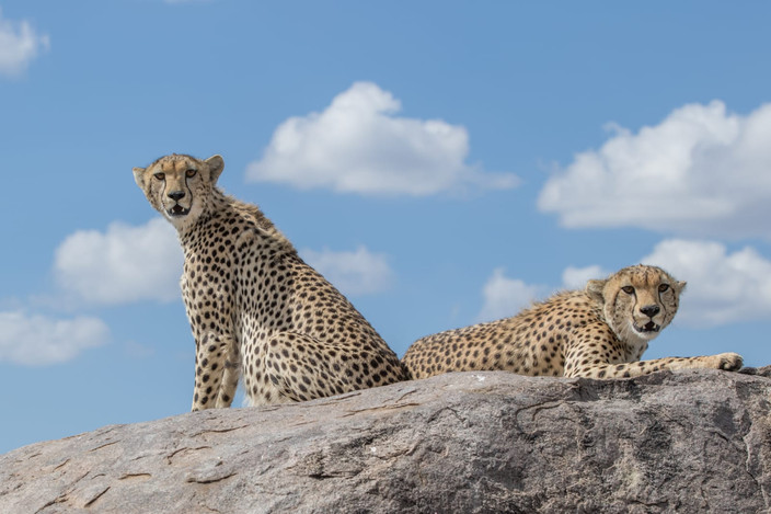 Serengeti NP - FB