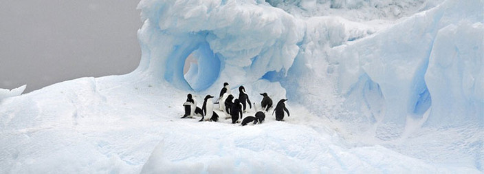 Direction l'Antarctique