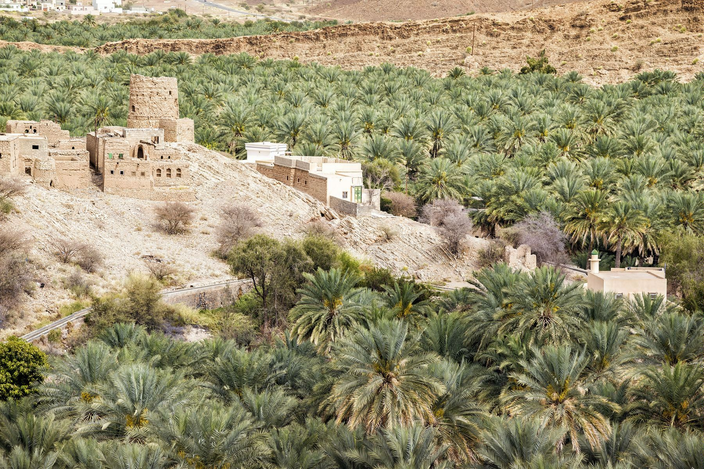Al Hamra, Birkat Al Mauz & Wahiba Sands Adventure 🏞️🏜️🐪