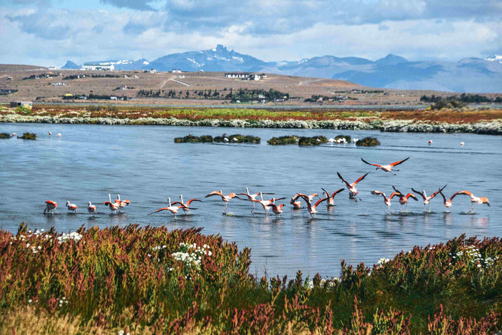 Buenos Aires - El Calafate