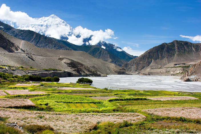 Lo Manthang (5 à 6 heures de marche)