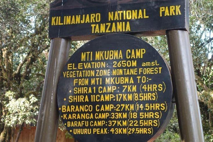 Big Tree Camp (2780 m) – Shira Camp 2 (3900 m)