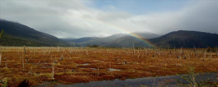 Puerto Guadal  – Coyhaique