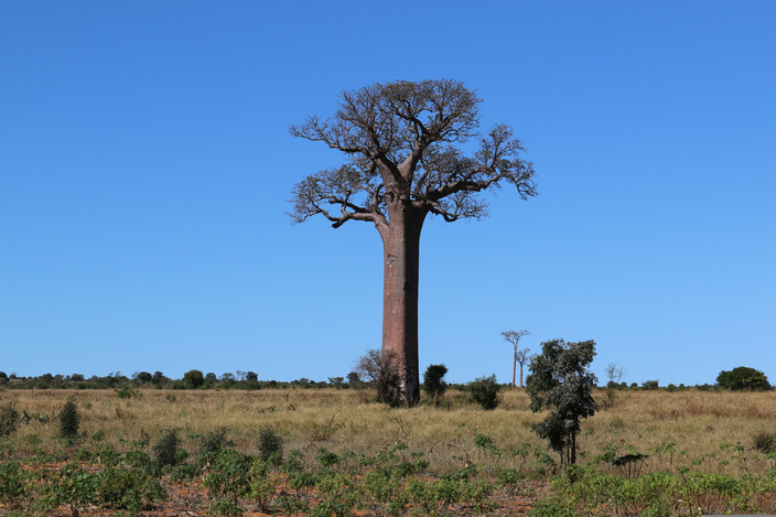 Tsingy de Bemaraha - Morondava