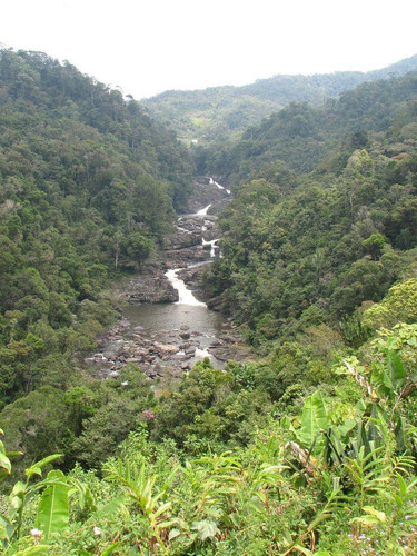 Ranomafana