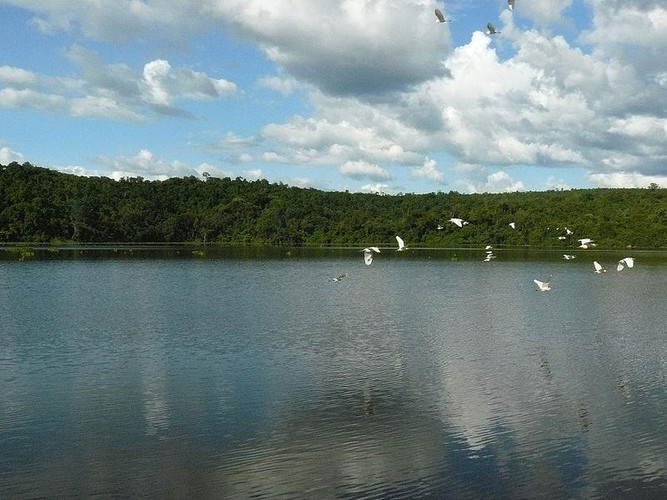 Ankarafantsika