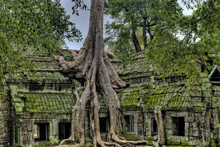 Immersion dans un village local Cambodgien et visites des temples d'Angkor Wat
