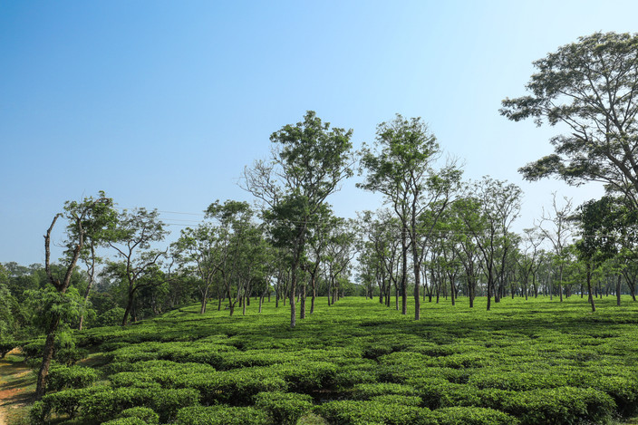 Dibrugarh - Mon par surface
