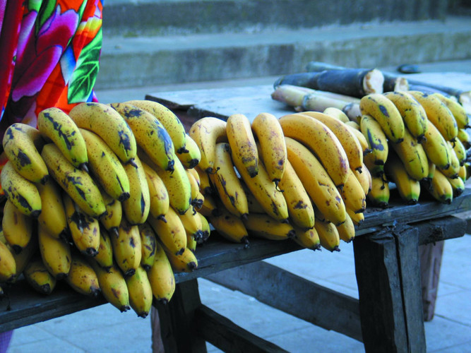Mangily Toliary Antananarivo