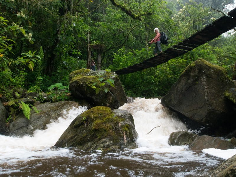 Vallée de Cocora et Filandia