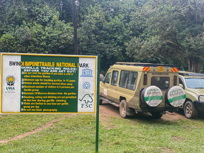 Transfert au parc national impénétrable de Bwindi sur un vol intérieur