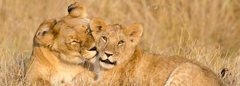 Parc national de Chobe