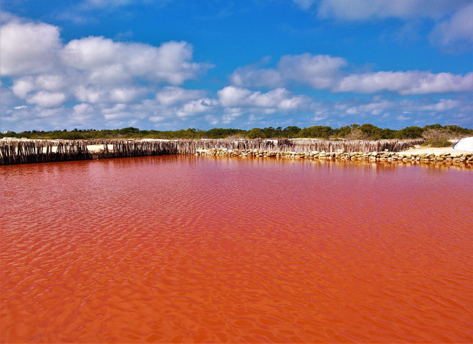 Jour 3 - RIO LAGARTOS ET LAS COLORADAS