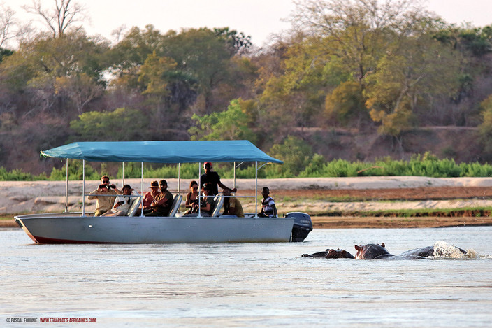 Boat-safari sur la Rufiji River