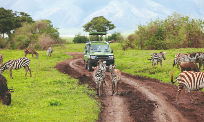 Serengeti au Ngorongoro