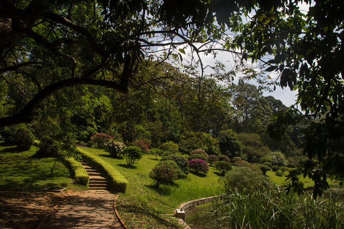 Kandy - Peradeniya - Nuwara Eliya