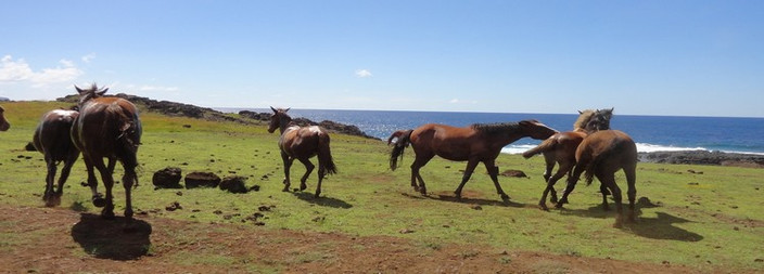 Les 7 explorateurs & Astronomie rapa nui