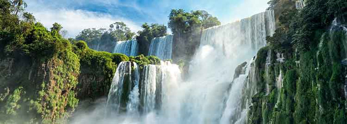 Excursion aux Chutes d'Iguazú