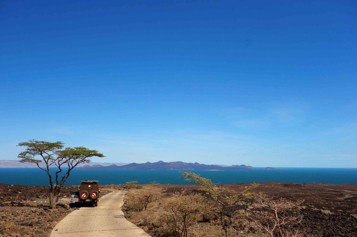 Journée au parc national de Tarangire