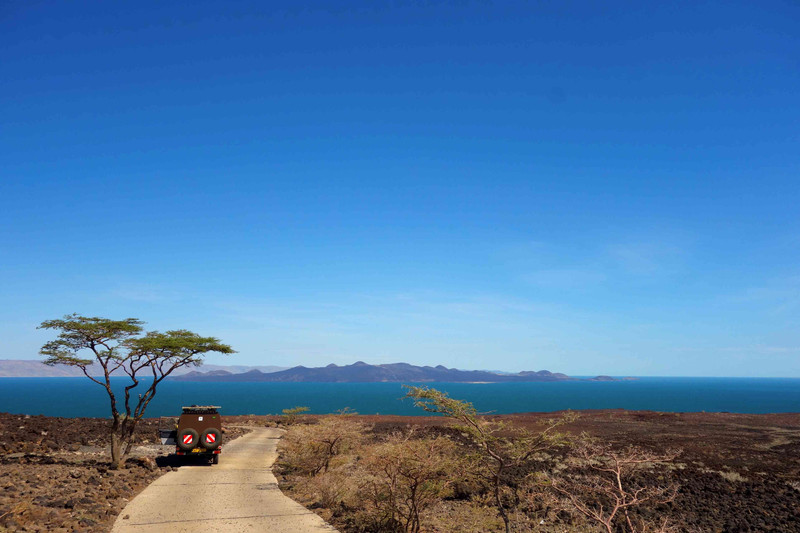 Journée au parc national de Tarangire