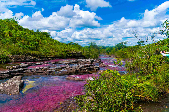 Journée à Puerto Narino et lacs de Tarapoto