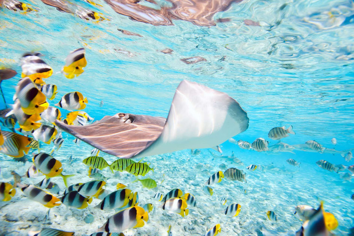 TAHITI ( PAPEETE )