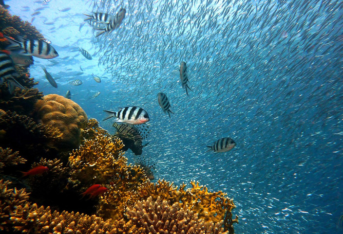 Fernando de Noronha