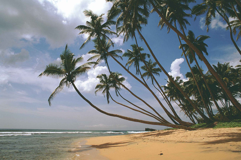 AEROPORT - NEGOMBO : Bienvenue au Sri Lanka!