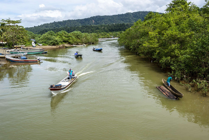 Bahia Hondita, ses mangroves et flamands roses