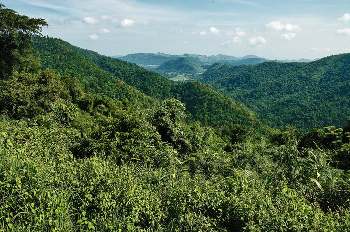 Découverte libre du parc national de Khao Yai