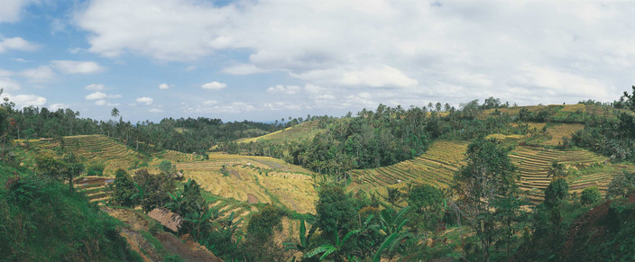 Transfert entre Gunung Leuser et Tangkahan