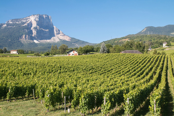 VIGNOBLES DE JONGIEUX