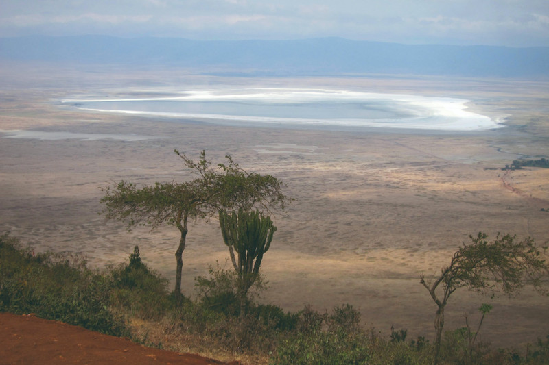 Du Serengeti aux hauts plateaux du Ngorongoro