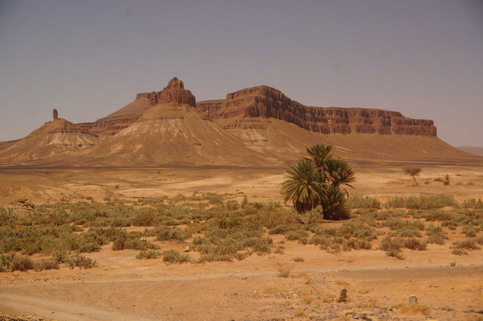Taroudant - Vallée du Drâa