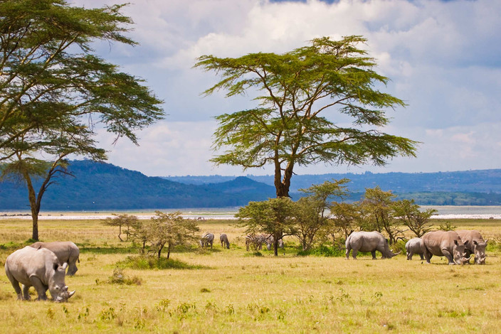 Lake Naivasha - Hells Gate National Park
