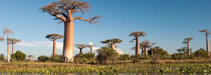 Bekopaka - Morondava