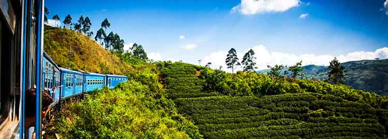 Excursion à Nuwara Eliya