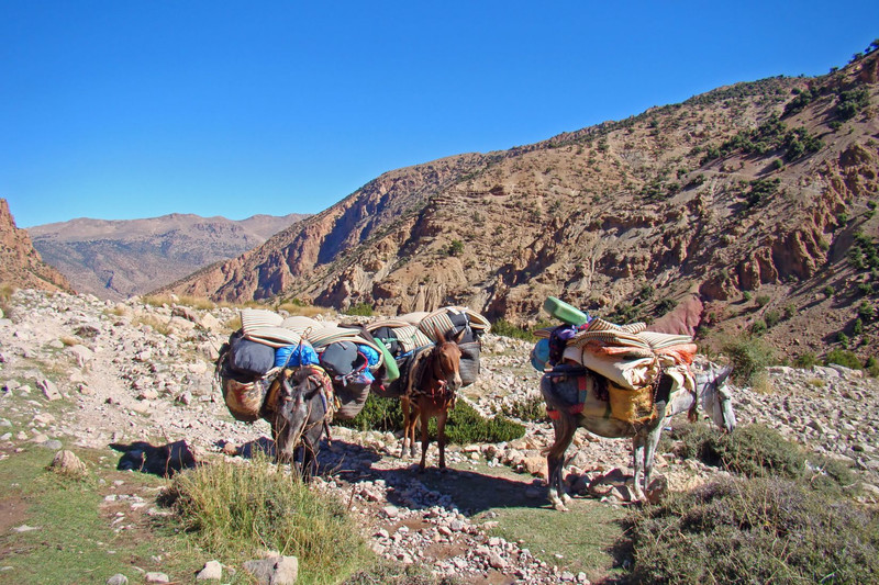 Tizi Oussem -- Aglzim (2,800m)