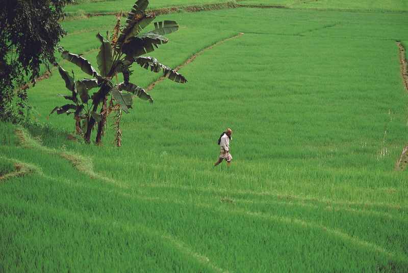 Kandy - Passikudah