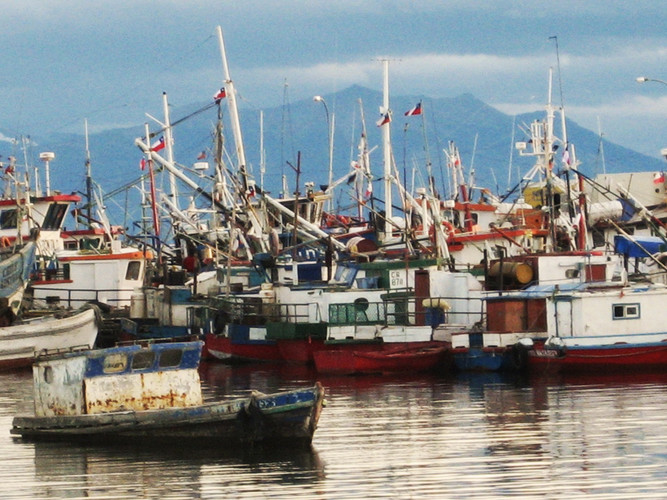 PUNTA ARENAS – PUERTO NATALES